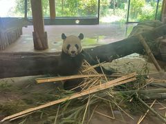 -云南野生动物园