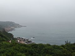 -广东惠东海龟国家级自然保护区