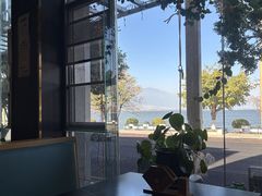 -野菌皇海景野生菌火锅(滨海大道店)