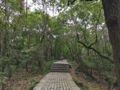-紫金山山顶公园