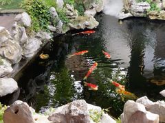 -鲤院·新中式美学·庭院餐厅(夫子庙店)