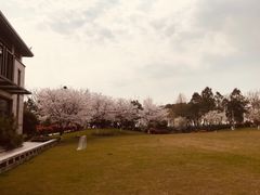 -苏州香山国际大酒店