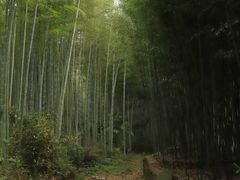-黄公望隐居地