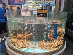 -乐在集市海鲜大排档(平潭店)