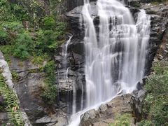 -海南热带雨林国家公园吊罗山景区