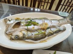清蒸白丝鱼-观桥阁(锦溪店)