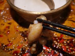 -新哥老官·畅吃123·美蛙世界(苏宁广场店)