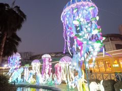 -海合安武汉极地海洋公园