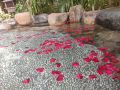 -厦门日月谷温泉渡假村