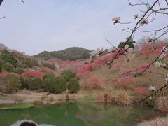 -溪口-滕头旅游景区