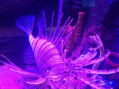 -沈阳海洋探索中心