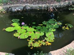-安徽大学(龙河校区)