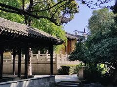 -红梅公园