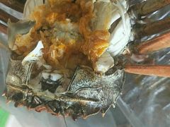 -蟹道河蟹大米商行