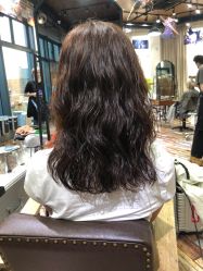 -IDOL-PLUS