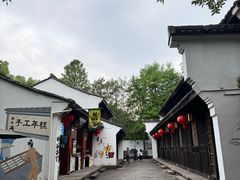 -西溪国家湿地公园