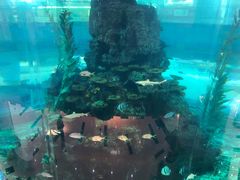 -鸿通城购物中心