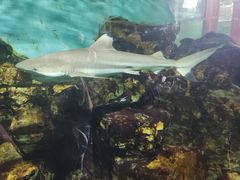 -宁波杭州湾国家湿地公园