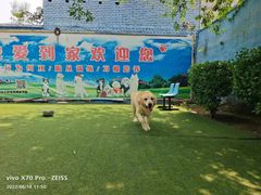 -宠物寄养训练学校