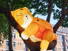 -西安电影制片厂