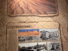 -巴音郭楞蒙古自治州博物馆