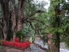 -石台牯牛降景区