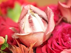 -格蕾花坊(民盈·国贸城店)
