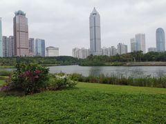 -万绿园