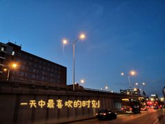 -佬麻雀·剁椒鱼头(京基KK One店)