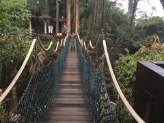 -千岛湖东南湖区