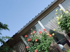 -白玉兰商务酒店(曲阜三孔景区春秋西路店)