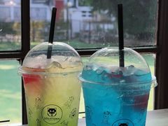 -Dog in Town Ekkamai