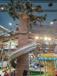 -卡通尼·Safari非洲探索乐园·生日会(金桥国际商业广场店)