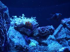 -成都浩海立方海洋公园