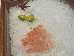-月龍吟(朝龙汇店)