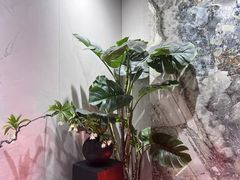 -红星美凯龙(上海沪南店)