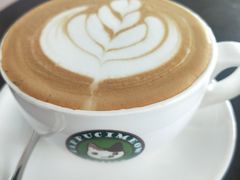 -Cappucimeow猫咪咖啡馆(韦伯时代店)