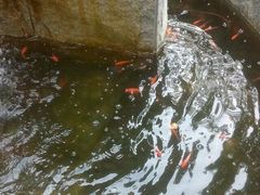 -浙江万里学院(钱湖校区)