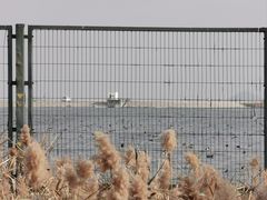 -鹦鹉洲湿地公园