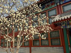 -北京颐和宾馆