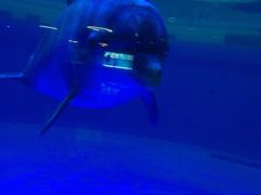 -福州罗源湾海洋世界旅游区