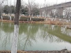 -西安浐灞国家湿地公园