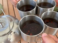 -春花秋色城市公园