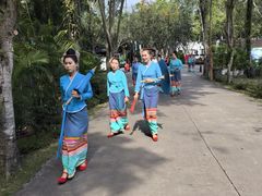 -西双版纳傣族园