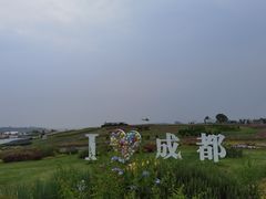 -空港花田景区