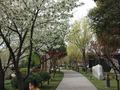 -唐城墙遗址公园