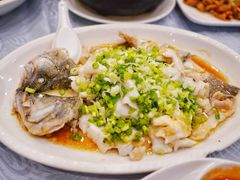 香葱淋鲈鱼-粤·向群饭店(龙津东路总店)