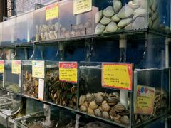 -蚝专家(北滘店)