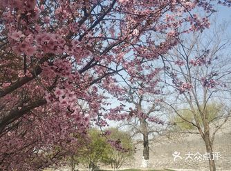 从上大学那会开始，每次到北京站坐火车都路过的公园