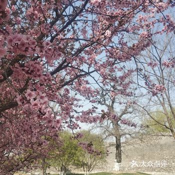 从上大学那会开始，每次到北京站坐火车都路过的公园